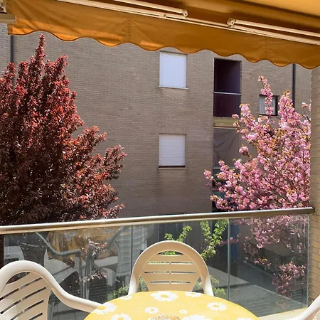 Angy By Quokka 360 - Terrace With Sea View Apartment